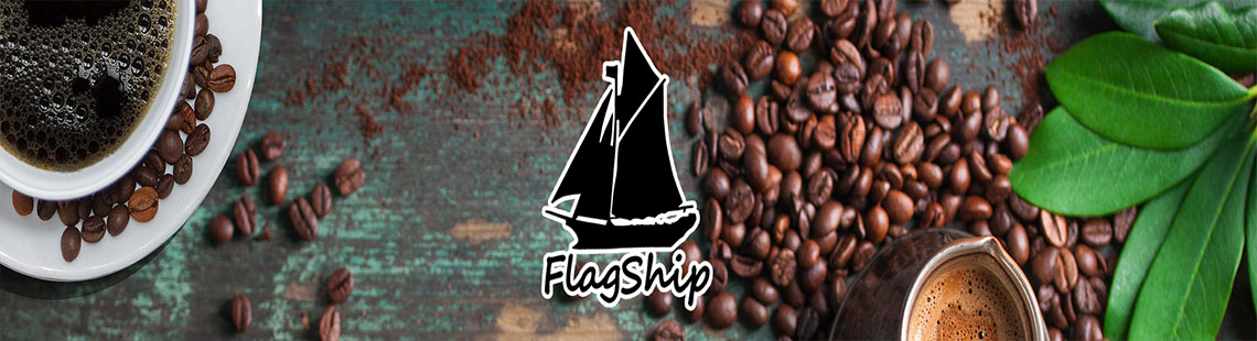 FlagShip Coffee Pod Holder Storage Drawer for Nespresso Vertuo Capsule  Holder Organizer Drawer Tray with Mesh Shelves for Nespresso Vertuo Holder